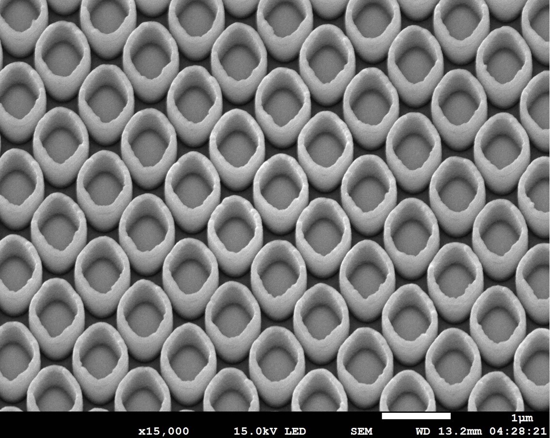 Using a scanning electron microscope at 15,000× magnification, the team observed that over 100 million diamond-shaped nanotubes can be accommodated per square centimeter of silicon wafer. The increased surface area enhances molecular adsorption and sensing capability, achieving a detection limit as low as 10⁻¹² molar concentration, which is significantly more sensitive than many conventional testing methods.