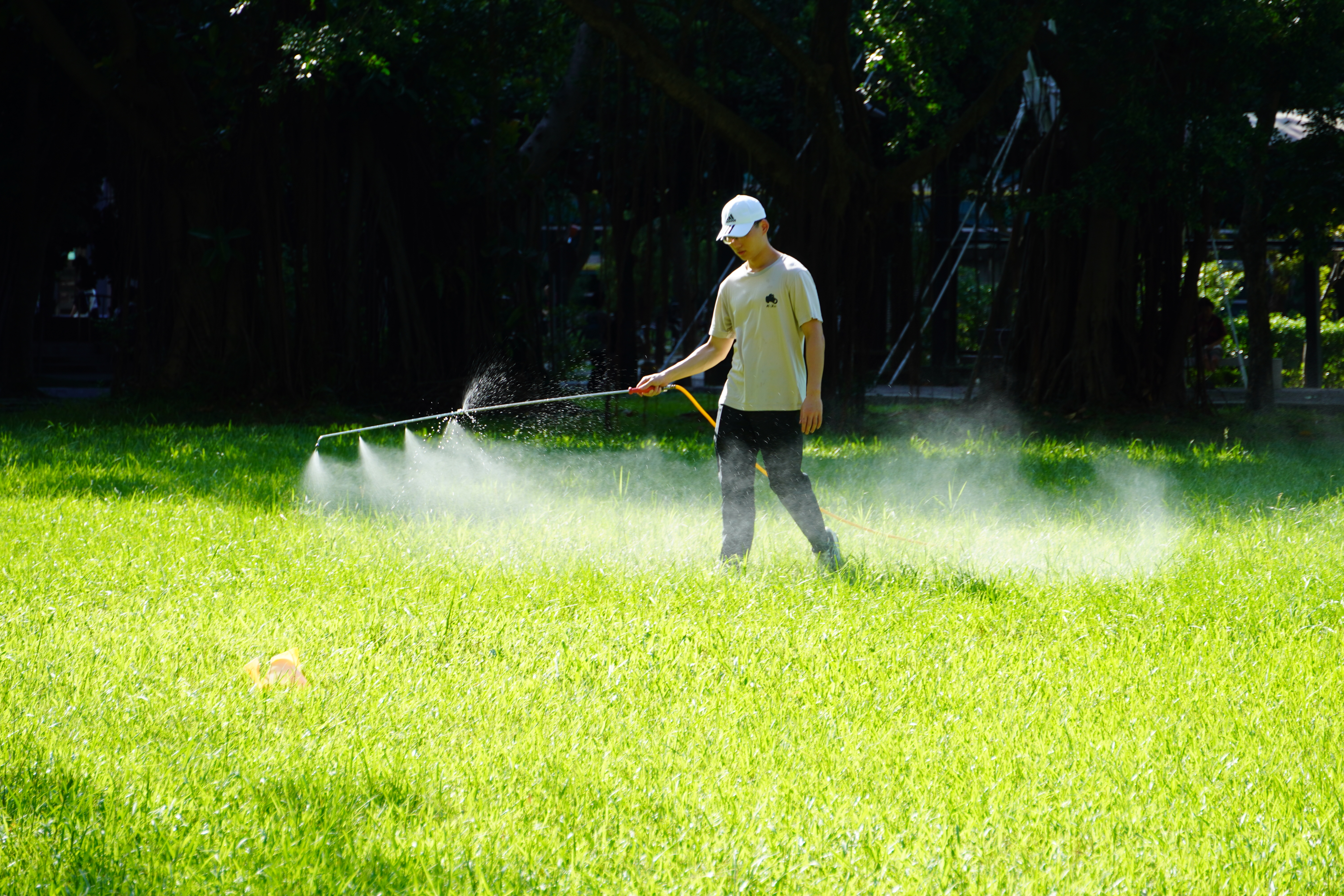 Taiwan Tech introduced microbiome application technology to establish a “micro-ecological defense line” against biting midges on the large lawn in front of the School of Management. The photo shows students from the Roots & Shoots Club assisting with spraying.
