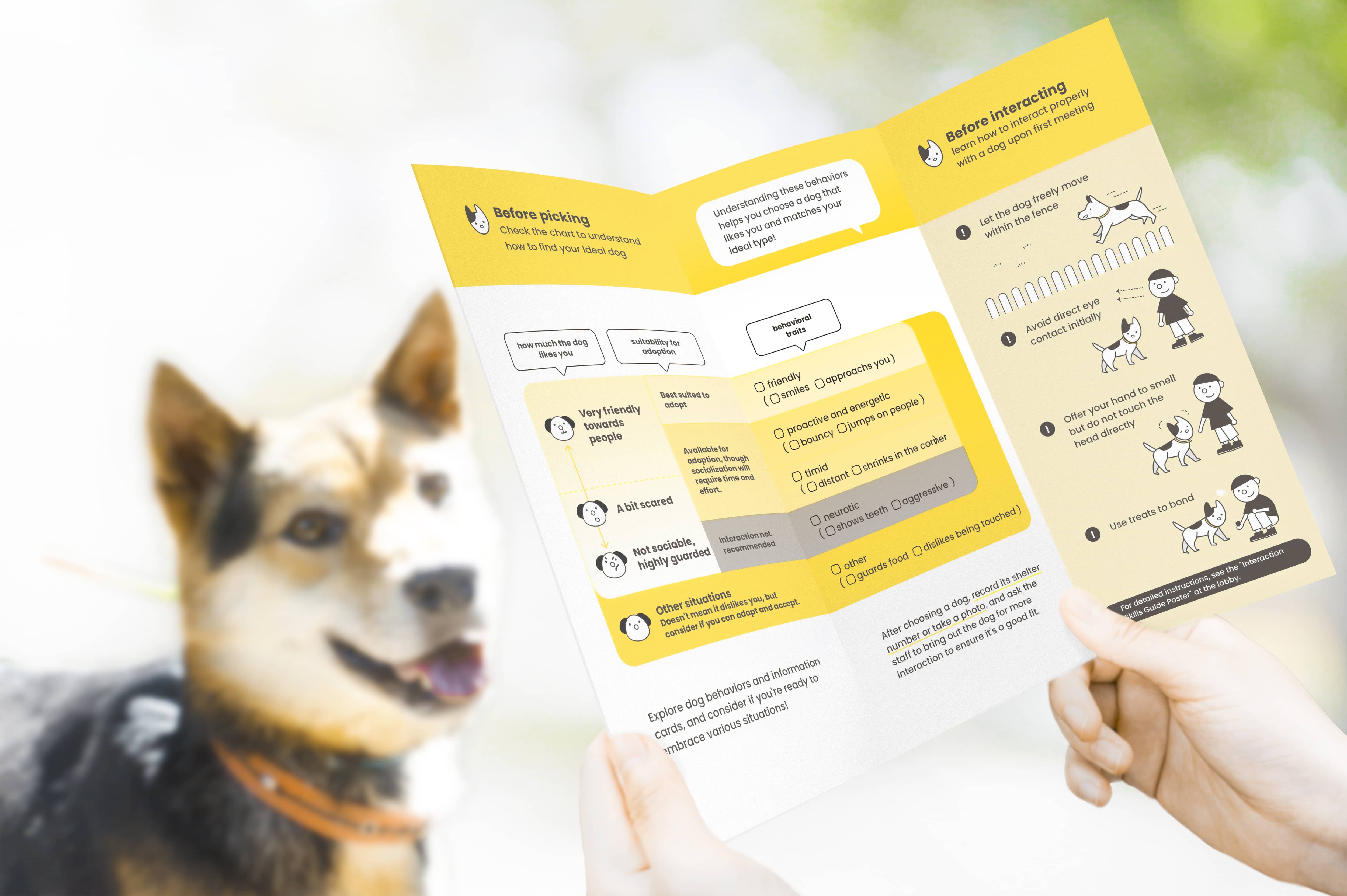 The “Adoption Service Design Connecting Humans and Animals” project introduced service design thinking and methods into public animal shelters. It proposed 15 design solutions to address core issues in the adoption process, covering areas such as space guidance, human-animal compatibility, service consistency, and pet owner responsibility education.