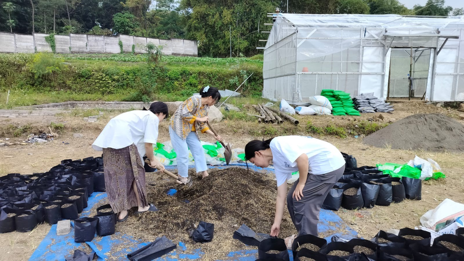 The team carried out a greenhouse restoration project in Pacet Village, Indonesia, to improve local agricultural quality.